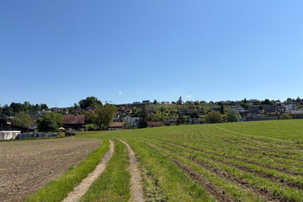 Sonnige Uferwanderung entlang der Reuss