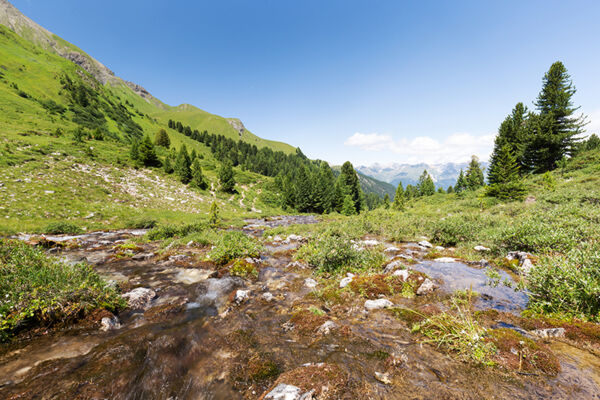 Eau vive près du Piz Ela