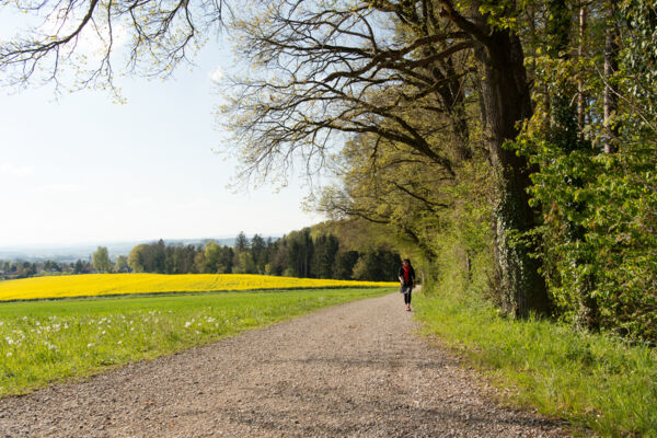 Von Weinfelden nach Frauenfeld
