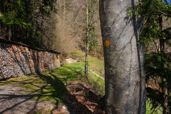 Cultura della costruzione autoctona nel Basso Simmental