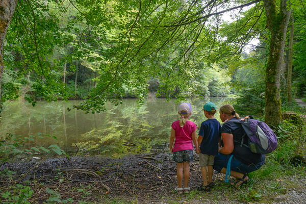 Wandern am Feierabend 4