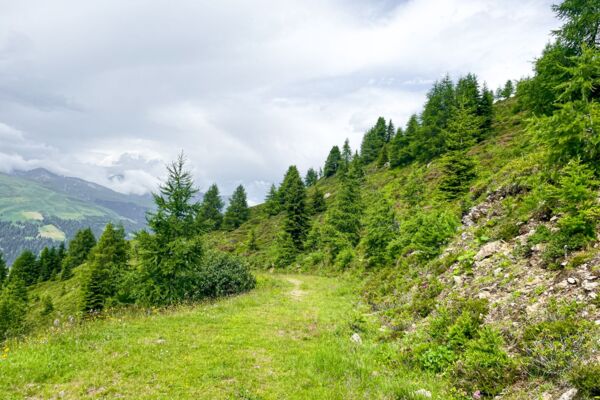 Rundwanderung aufs Rinerhorn