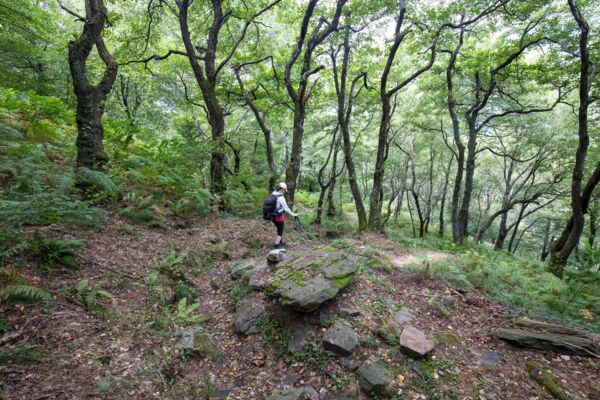 Balançoire géante au-dessus du tunnel du Ceneri