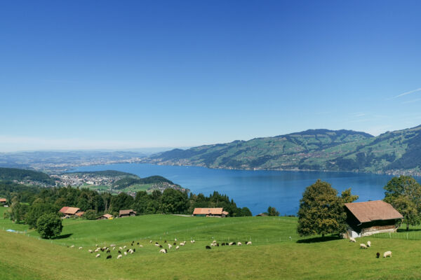 Malerisches Wandern über dem Thunersee