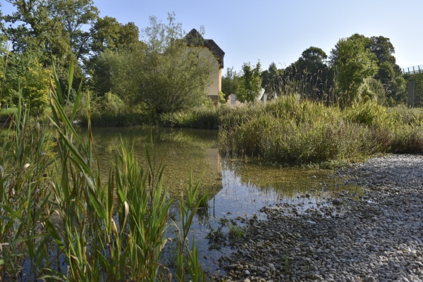 Von der Areuse zum Neuenburgersee