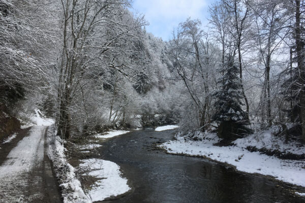 Winterlicher Schwarzwassergraben