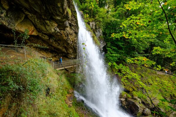 Tous les trésors de la Schweibenalp
