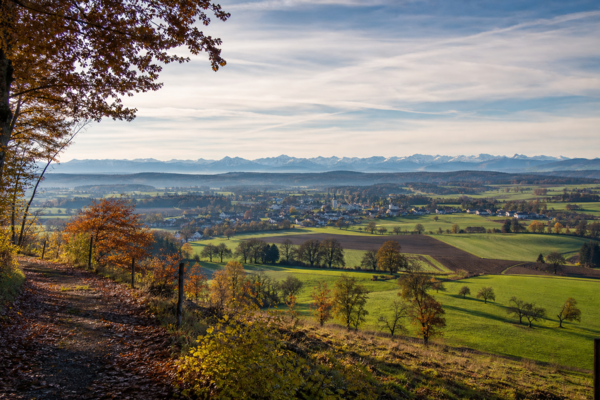 Rafzerfeld (**/T1)