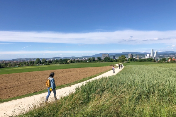 Sur le Bruderholz en direction de Bâle