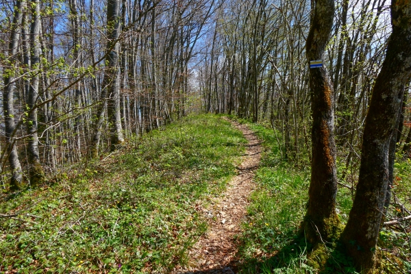 Den Grenzsteinen in der Ajoie nach