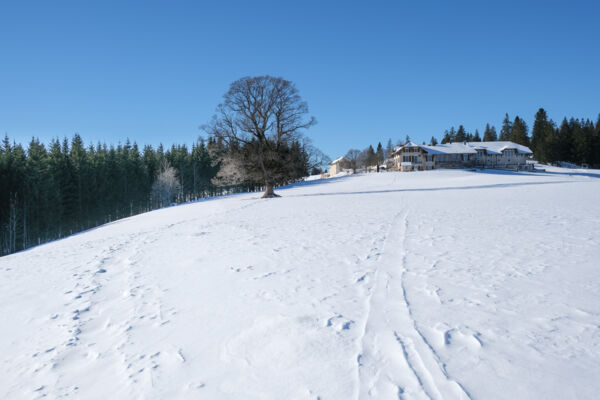 Über den Höhenrücken im Neuenburger Jura