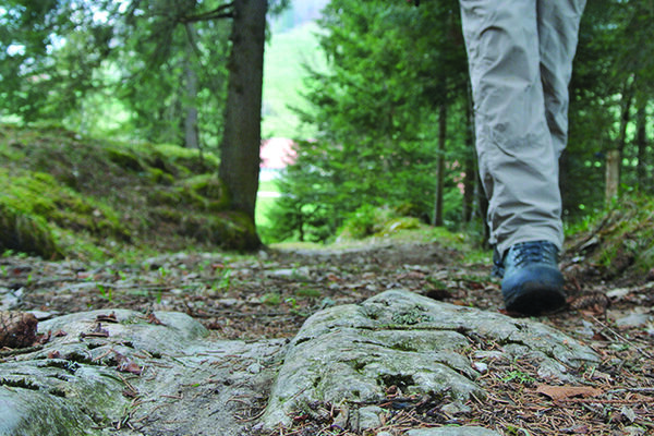 Alte Neuenburger Wege neu entdeckt