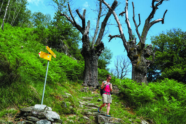 Hoch über dem Valle Maggia