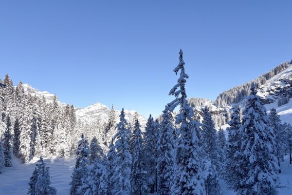 Sortie aisée sur la pittoresque Mettmenalp