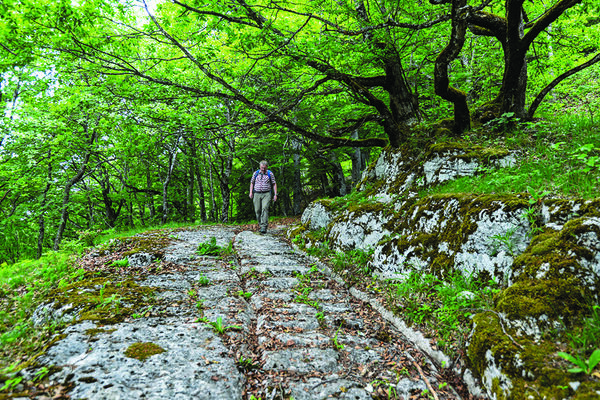 Sur la route du sel II
