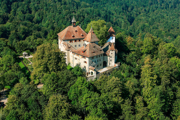Dalla città attraverso la foresta fino a Kyburg