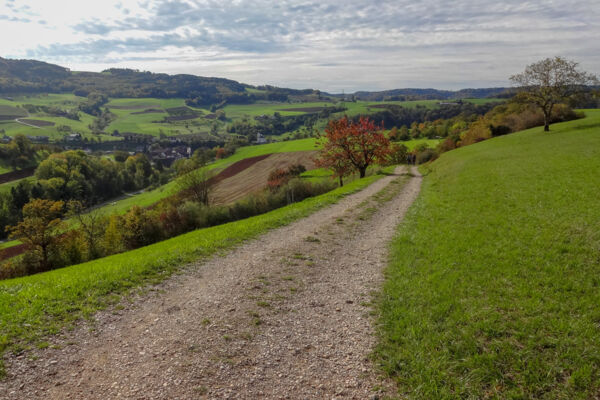Im Jurapark Aargau