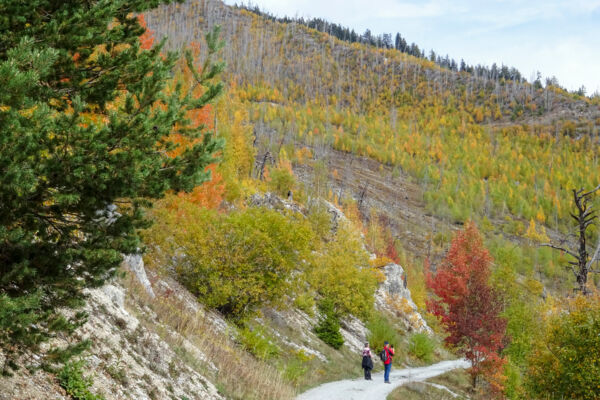 Zone d’incendie de forêt au-dessus de Loèche
