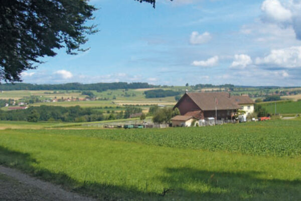 Au-dessus du Rafzerfeld