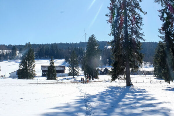 Winterliche Freiberge