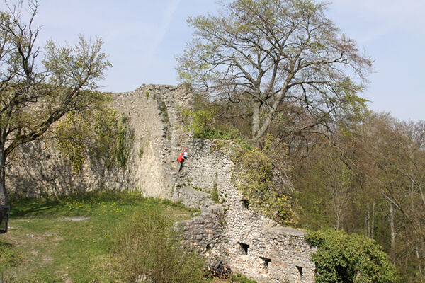 Blaueberg 
