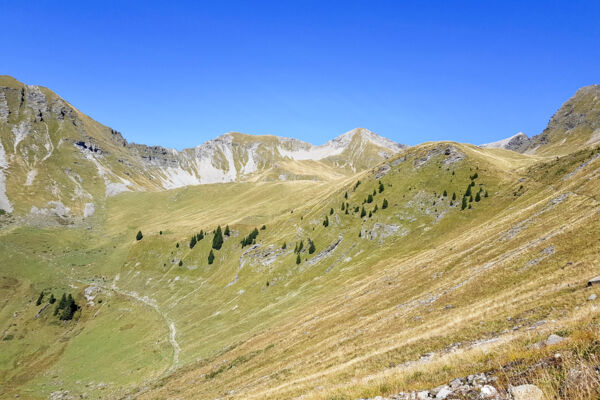 Vue au sommet dans le Diemtigtal