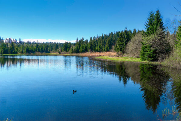 Rundwanderung in den Freibergen