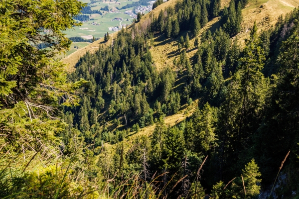 Gratwanderung auf die Beichle