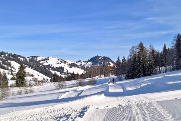 Von Saanenmöser nach Gstaad