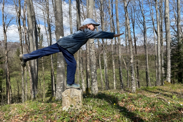 Den Grenzsteinen in der Ajoie nach