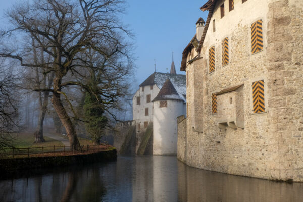Quiétude hivernale près du lac de Hallwil