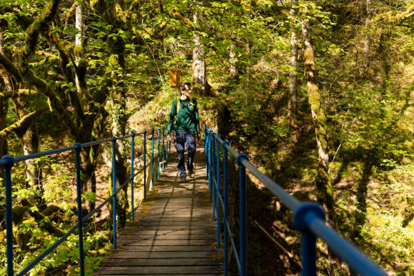 La mousse, reine des gorges de l’Orbe