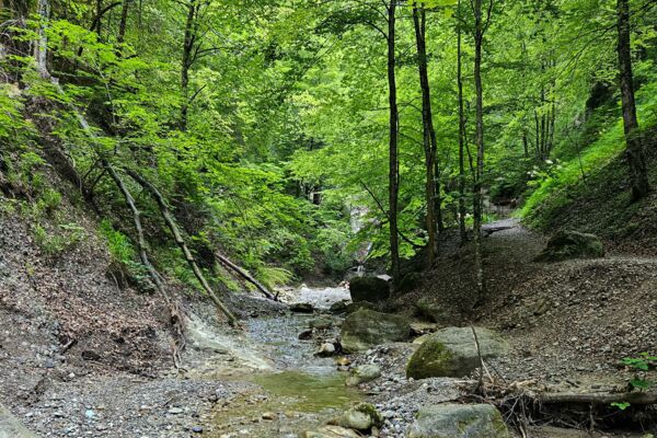 Durch die kühle Cholereschlucht