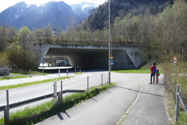 Vom Simmental zum Thunersee