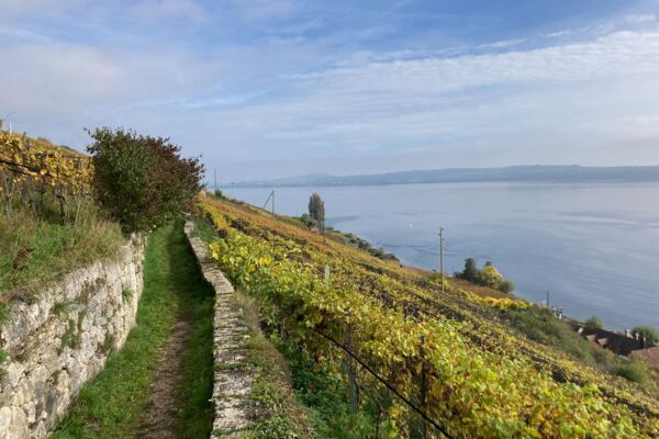 Les gorges de Douanne, près du lac de Bienne