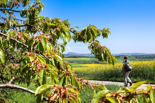 Entre le pied sud du Jura et le Fricktal