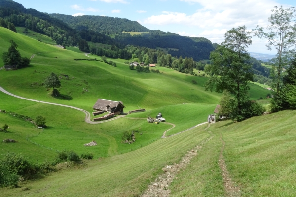 Zwischen Pilatus und Bürgenstock