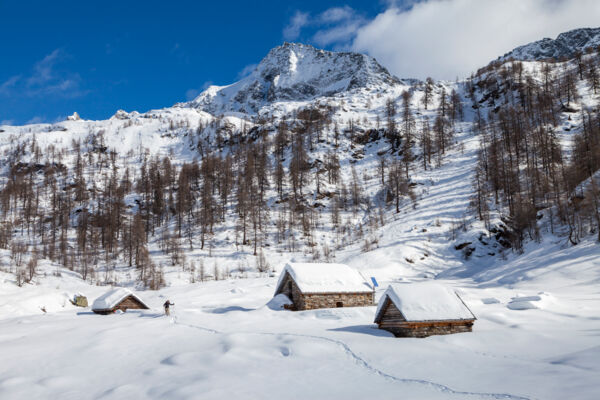 Attraverso la natura selvaggia della Val Lavizzara