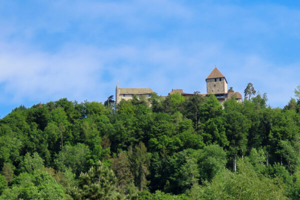 Vers le bourg de Hohenklingen à Stein am Rhein