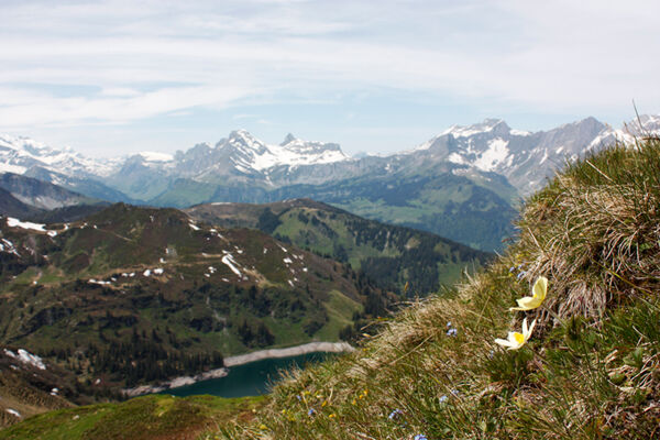 Glarner Passtour