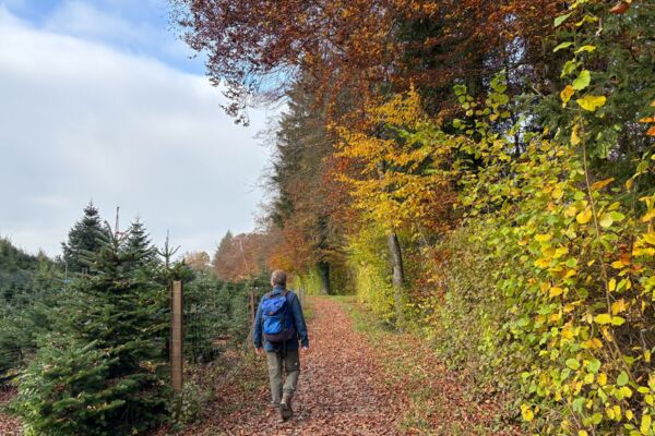 Dans l’Auenschutzpark argovien