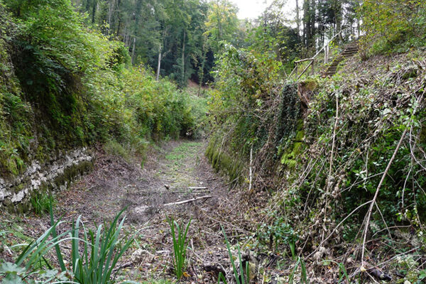Canal navigable dans la forêt
