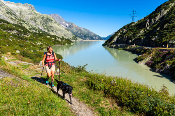 Betriebsamkeit und Ruhe am Grimselpass