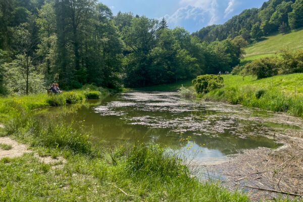 Par des chemins sinueux