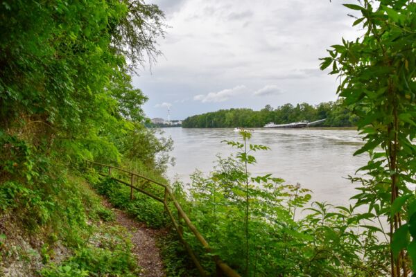 Au fil de l’eau jusqu’à la forêt bâloise Hardwald