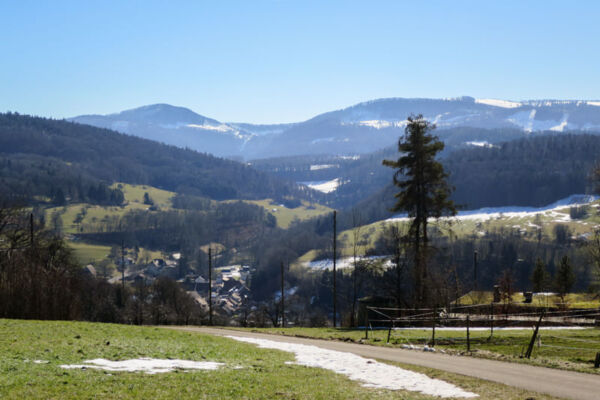 Von Dornach nach Seewen 