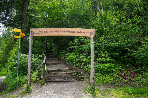 Von der Stadt durch den Wald auf die Kyburg