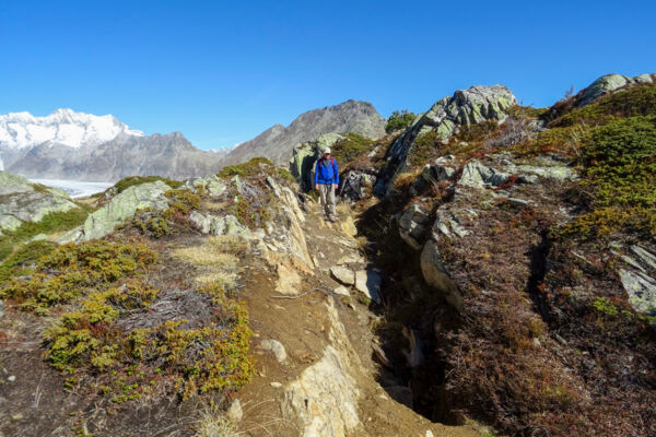 Hoch über dem Aletschgletscher
