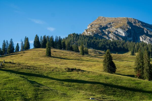 Panorama übers Diemtigtal vom Wiriehore