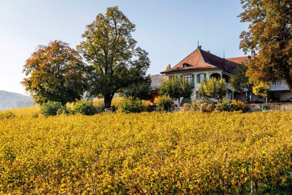 De château en château sur La Côte